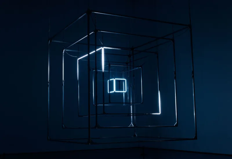 Frozen on Purpose: How Digital Creators Are Making Stillness Go Viral